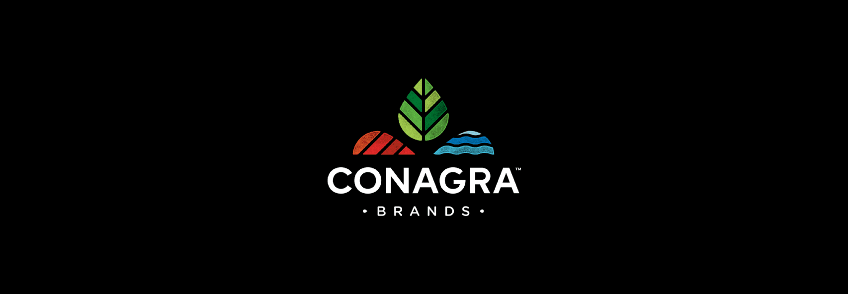 congara brand hero banner